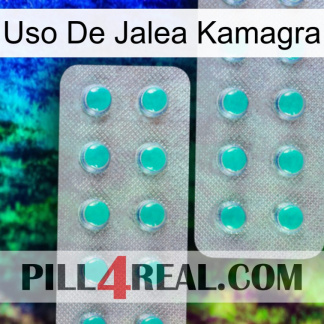 Kamagra Jelly Use 29